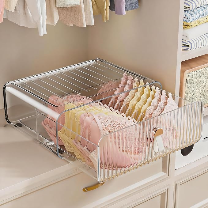 Neprock Underwear Drawer Organizer - Stackable Bra Organizer for Closet, 1 Cell Clear Acrylic Bra Storage Box, Closet Organizers and Storage for Lingerie, Undergarment, Baby Clothes, Scarf by Neprock
