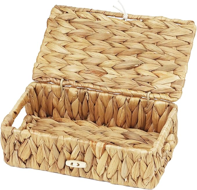 Small Basket with Lid, Wicker Storage Basket for Organizing, Rectangular Woven Basket for Storage, Water Hyacinth Decorative Boxes Bins with Lids (9" x 5.1" x 3") by ORDELITE