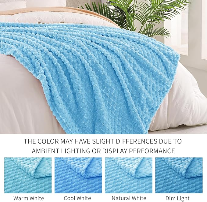 Exclusivo Mezcla Fleece Queen Blanket for Bed, Extra Large Fuzzy Blue Bed Blankets, Soft Cozy Plush Sofa Throws for All Seasons, 90x90 Inches
