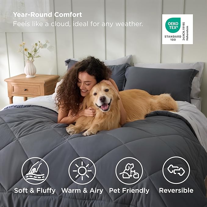 Bedsure Queen Comforter Set - 7 Pieces Reversible Dark Grey Bedding, Queen Size Bed Set for All Seasons, Bed in a Bag with Down Alternative Comforter, Sheets, Pillowcases & Shams
