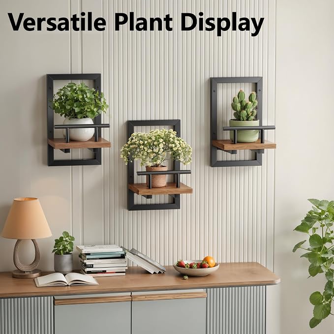 Sbosbo Floating Shelves for Wall, Plant Shelf Indoor, Wall Planters for Indoor Floating Plant Shelves for Bedroom, Living Room, Kitchen, Office, Bathroom Decor (2 Pack) - Image 6