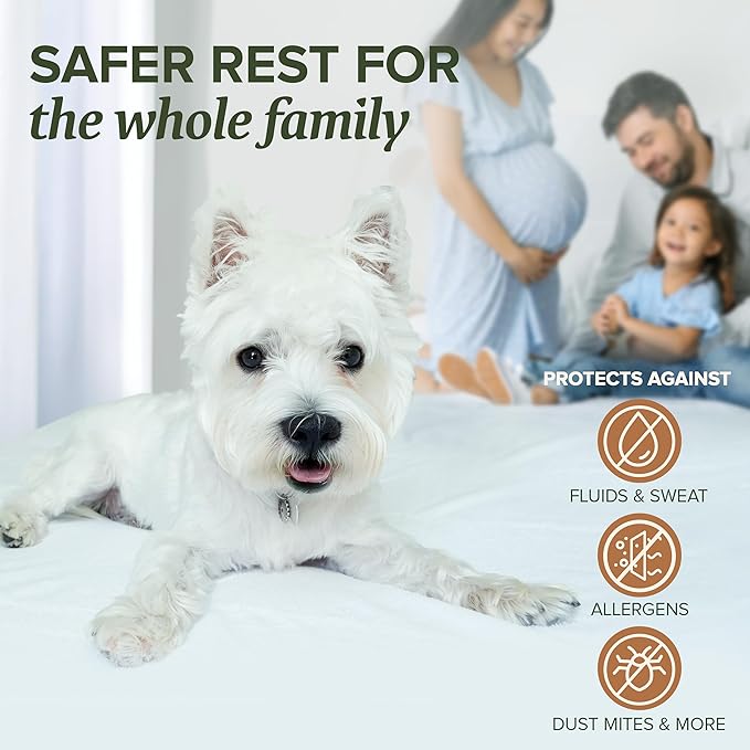 Beckham Hotel Collection Mattress Protector — Hotel-Grade Cotton Blend, Silent Waterproof Protection, Low-Profile Design That Preserves Mattress Feel, Twin XL