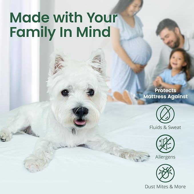 SafeRest Waterproof Queen Size Mattress Protector - Viscose Derived from Bamboo - Fitted with Stretchable Pockets - Machine Washable Viscose Blend Mattress Cover for Bed
