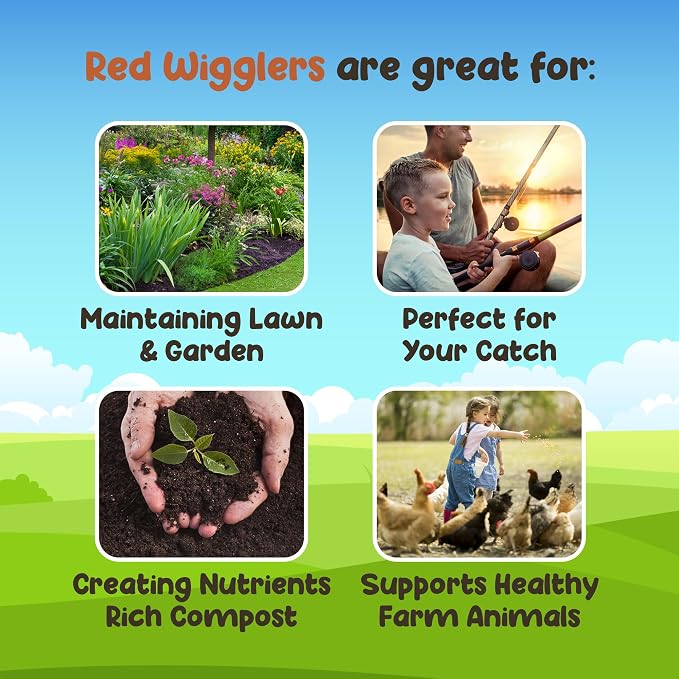 Red Wigglers Composting Worms - 1/2lb Red Worms for Composting - Use on Worm Castings for Plants, Garden, Worm Farm & Compost Starter, Easy to Manage - Image 3