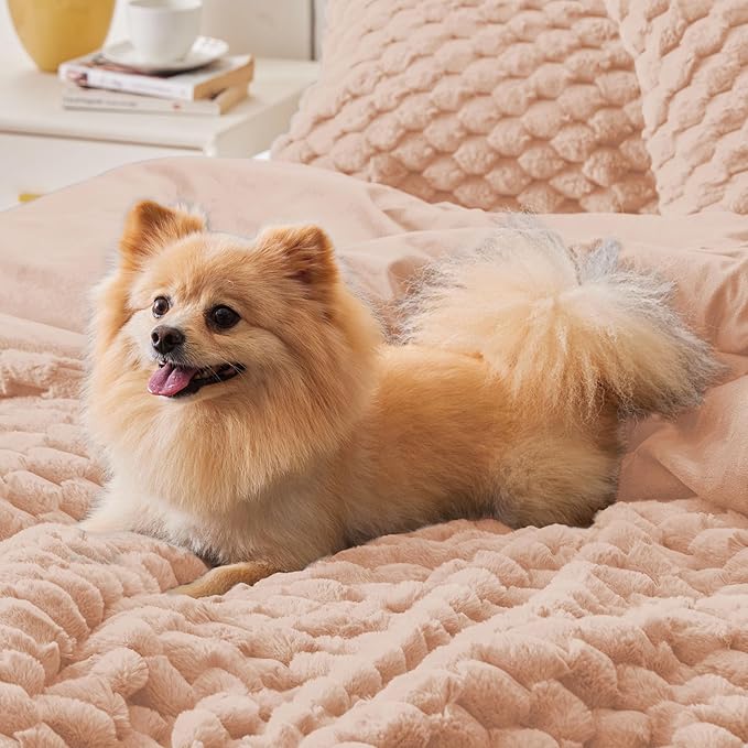 BEDELITE Fluffy Queen Comforter Set - Coral Pink Fleece Soft Comforter for Queen Size Bed, Luxury Warm Bedding Set for Winter, Fuzzy Bed Set 3 Pieces (1 Comforter, 2 Pillowcases)