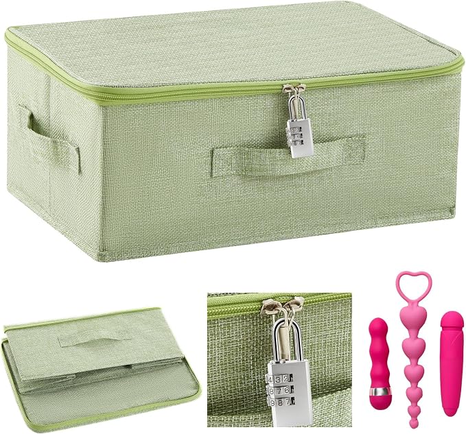 Briwooody Discreet Lockable Toy Bag Storage Organizer Toy Bag Storage Bins Case with Zipper Lid for Women and Men Clothes Container(Light Green,15 x 10 x 6.3 Inch) by Briwooody