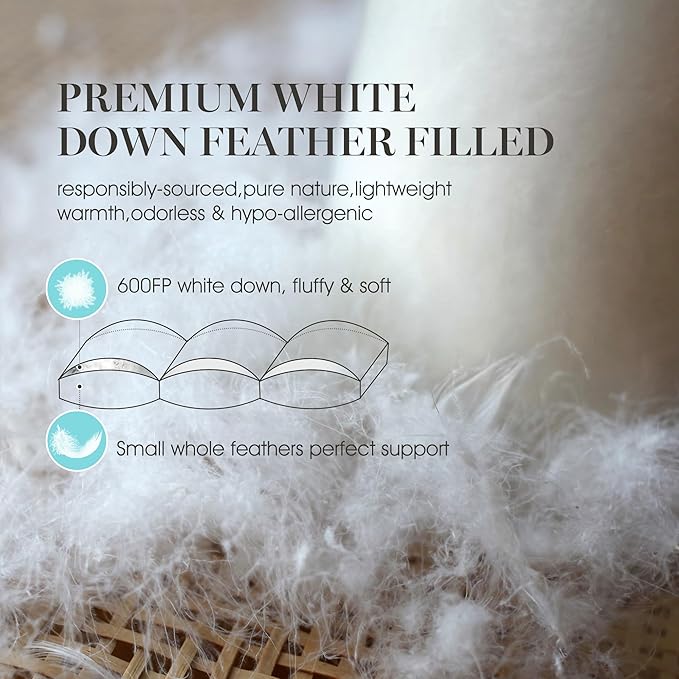 Martha Stewart 3 Inch White Down Feather Mattress Topper - Queen Size Fluffy White Feather Bed Topper 100% Cotton Cover Fabric Ultra Soft Pillow Top Featherbed for Bedroom（60" x 80"）