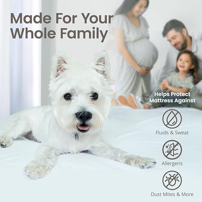 SafeRest Waterproof Mattress Protector Queen Size – Absorbent Breathable Soft Fitted Bed Cover with 18" Deep Stretchable Pockets – Machine Washable Queen Mattress Cover