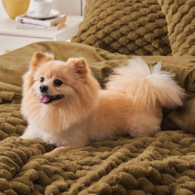 BEDELITE Fluffy Queen Comforter Set - Brown Fleece Soft Comforter for Queen Size Bed, Luxury Warm Bedding Set for Winter, Fuzzy Bed Set 3 Pieces (1 Comforter, 2 Pillowcases)
