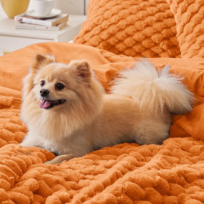 BEDELITE Fluffy King Size Comforter Set - Burnt Orange Fleece Soft Comforter for King Size Bed, Luxury Warm Bedding Set for Winter, Fuzzy Bed Set 3 Pieces (1 Comforter, 2 Pillowcases)