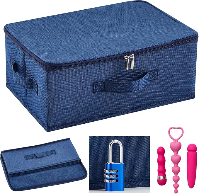 Briwooody Discreet Lockable Toy Bag Storage Organizer Toy Bag Storage Bins Case with Zipper Lid for Women and Men Clothes Container(Dark Blue,15 x 10 x 6.3 Inch) by Briwooody