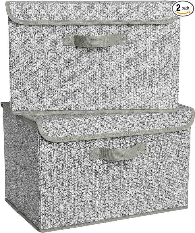 GRANNY SAYS Storage Baskets with Lids, Clothes Storage Boxes, Fabric Storage Bins, Keepsake Box, Closet Organizers and Storage, Gray, 2-Pack by GRANNYSAYS