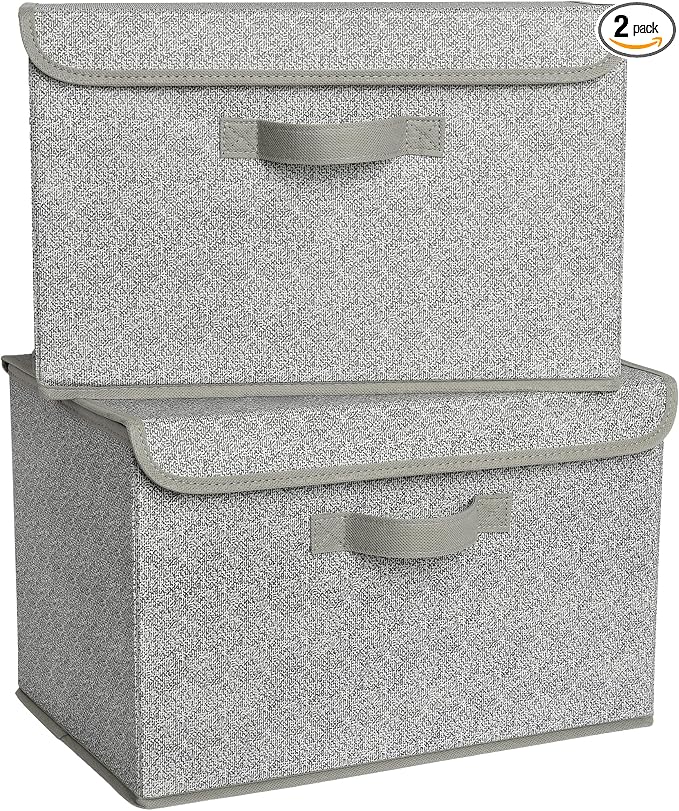 GRANNY SAYS Closet Storage Bins, Storage Boxes with Lids, Clothes Organizing Bins, Lidded Baskets for Toys, Clothing, Gray, Extra Large, 2-Pack by GRANNYSAYS