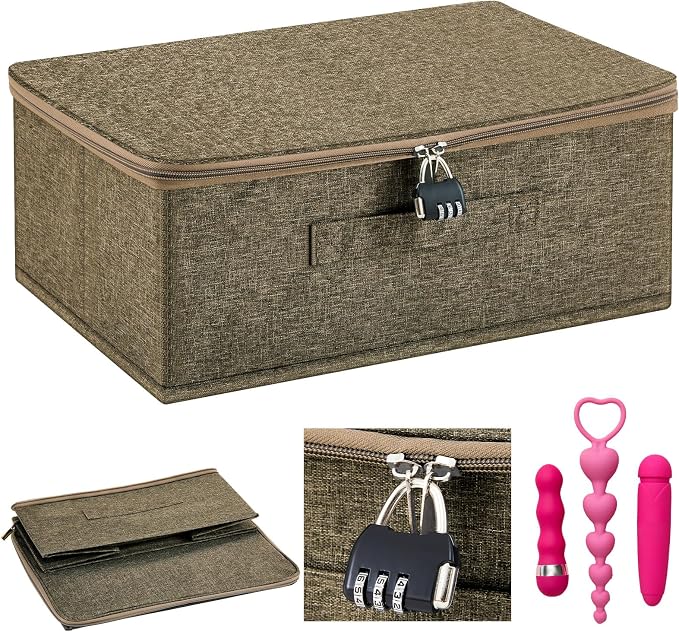 Briwooody Discreet Lockable Toy Bag Storage Organizer Toy Bag Storage Bins Case with Zipper Lid for Women and Men Clothes Container(Coffee,15 x 10 x 6.3 Inch) by Briwooody