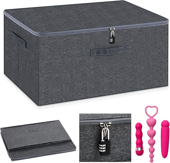 Briwooody Discreet Lockable Toy Bag Storage Organizer Toy Bag Storage Bins Case with Zipper Lid for Women and Men Clothes Container(Gray,19.3 x 14.6 x 11.8 Inch) by Briwooody