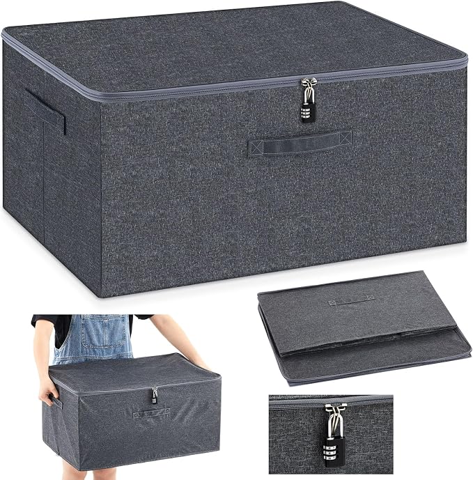 Briwooody Discreet Lockable Toy Bag Storage Organizer Toy Bag Storage Bins Case with Zipper Lid for Women and Men Clothes Container (Gray,23.6 x 15.8 x 11.8 Inch) by Briwooody