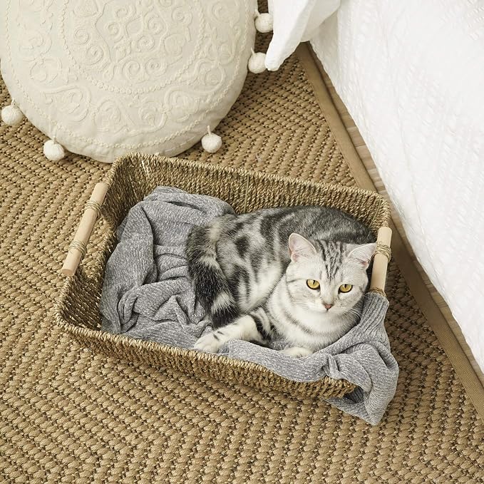 StorageWorks Hand-Woven Jumbo Storage Baskets with Wooden Handles, Seagrass Wicker Baskets for Organizing, 2-Pack - Image 8